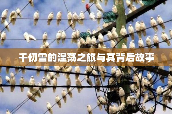千仞雪的涅荡之旅与其背后故事