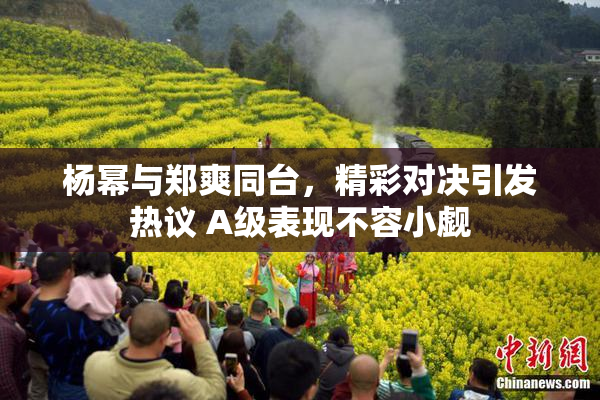 杨幂与郑爽同台，精彩对决引发热议 A级表现不容小觑