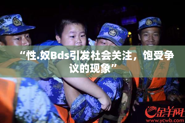 “性.奴Bds引发社会关注，饱受争议的现象”