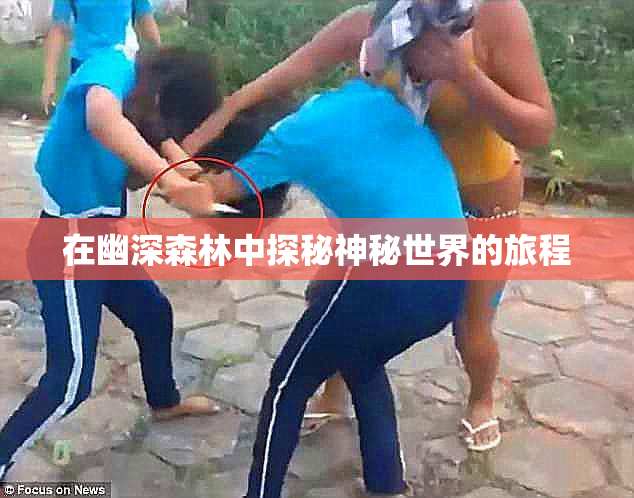 在幽深森林中探秘神秘世界的旅程