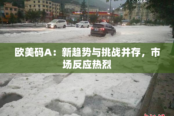 欧美码A：新趋势与挑战并存，市场反应热烈