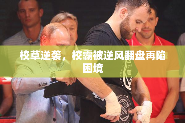 校草逆袭，校霸被逆风翻盘再陷困境