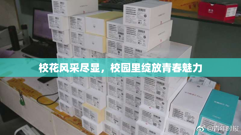 校花风采尽显，校园里绽放青春魅力