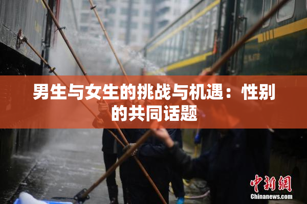 男生与女生的挑战与机遇：性别的共同话题
