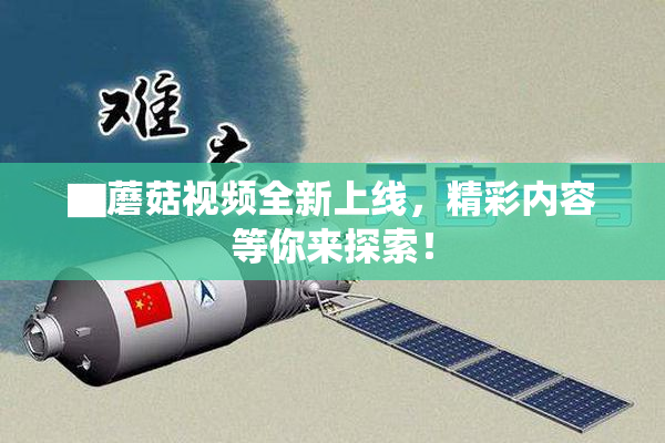 ▇蘑菇视频全新上线，精彩内容等你来探索！
