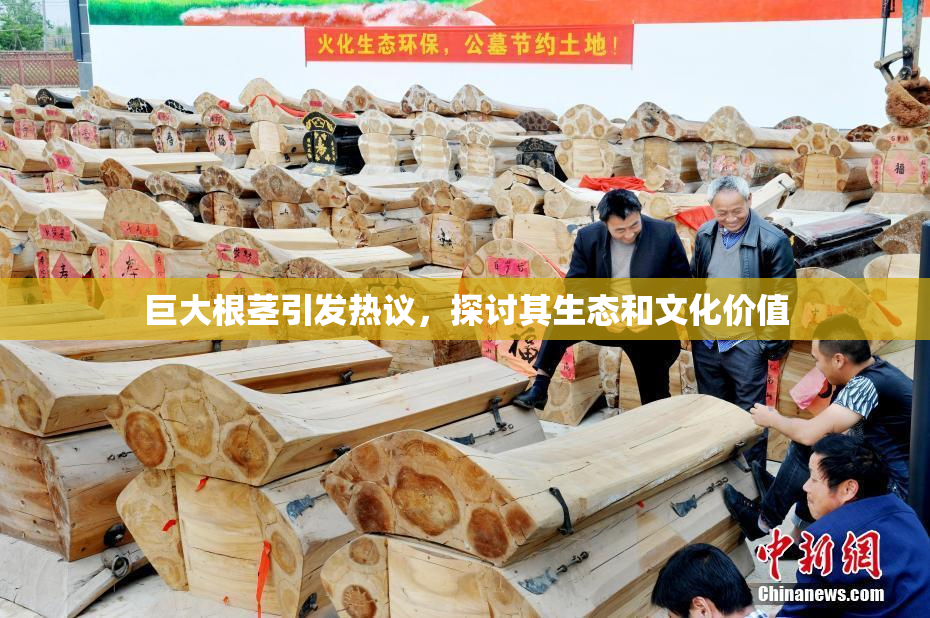 巨大根茎引发热议，探讨其生态和文化价值