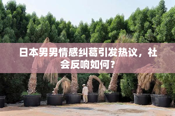 日本男男情感纠葛引发热议，社会反响如何？