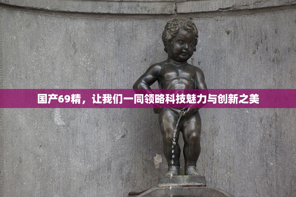 国产69精，让我们一同领略科技魅力与创新之美