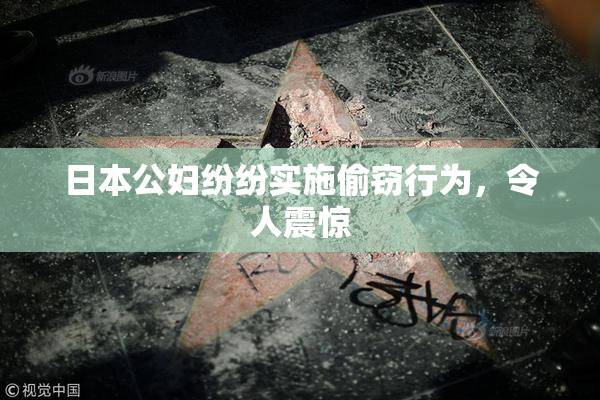 日本公妇纷纷实施偷窃行为，令人震惊