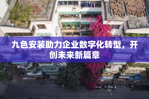 九色安装助力企业数字化转型，开创未来新篇章