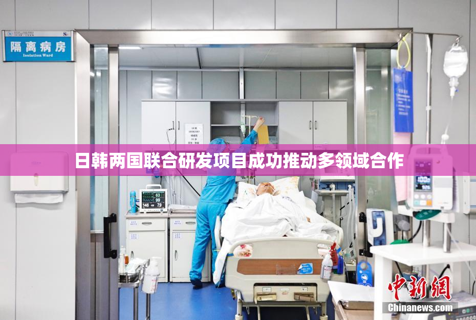 日韩两国联合研发项目成功推动多领域合作