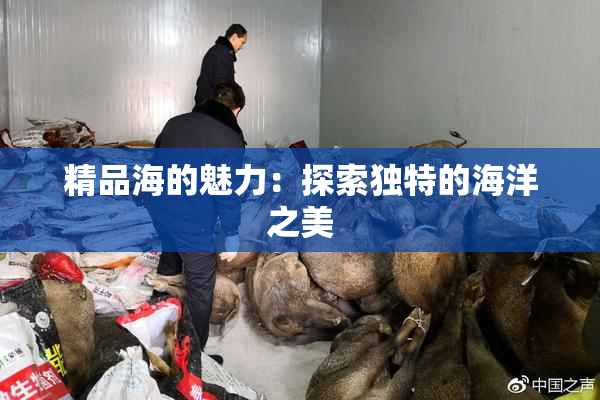 精品海的魅力：探索独特的海洋之美