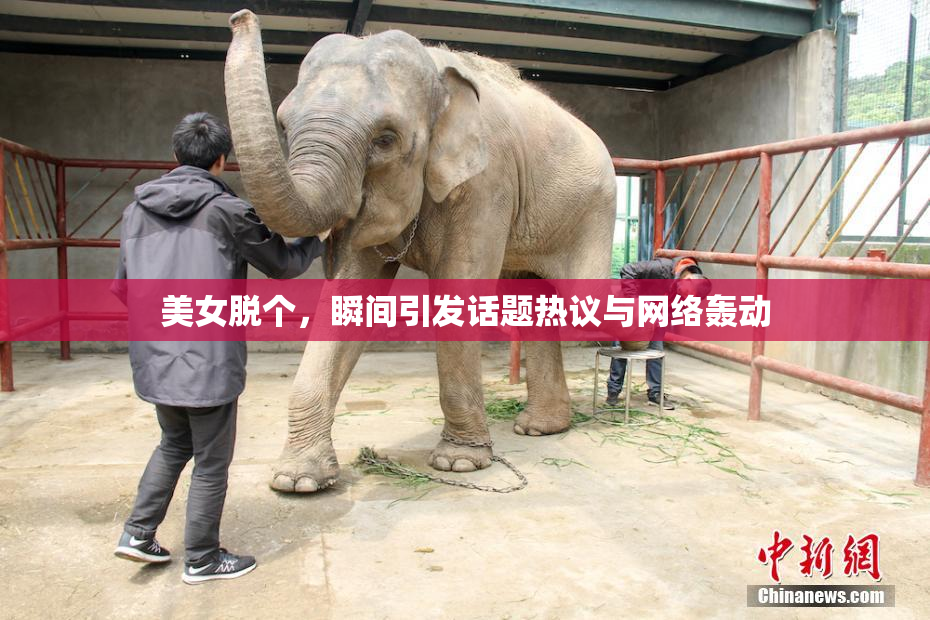 美女脱个，瞬间引发话题热议与网络轰动