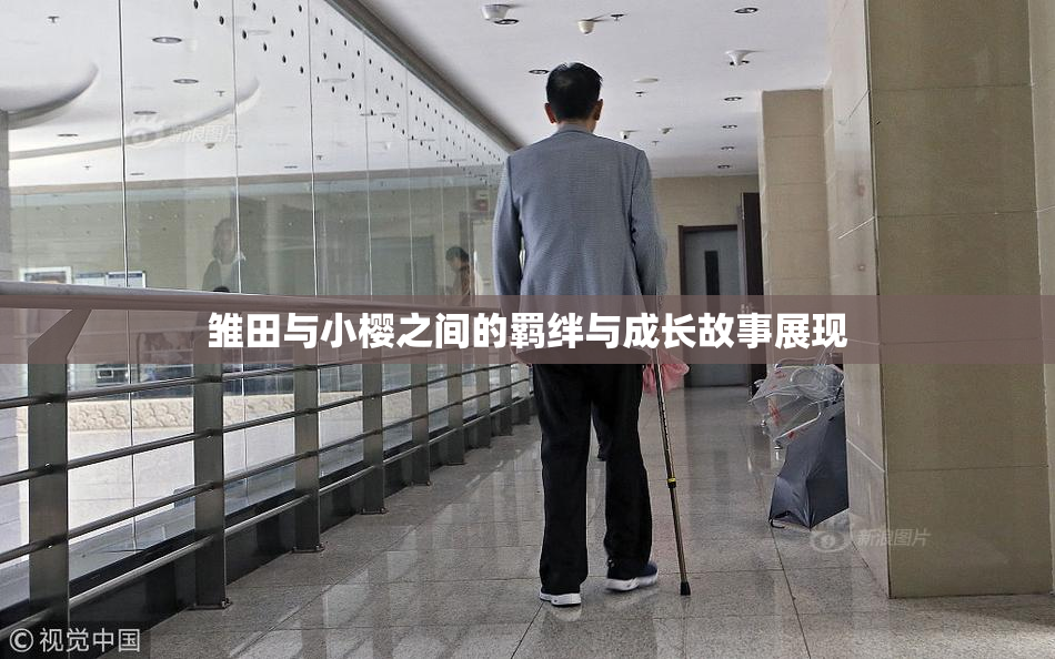 雏田与小樱之间的羁绊与成长故事展现