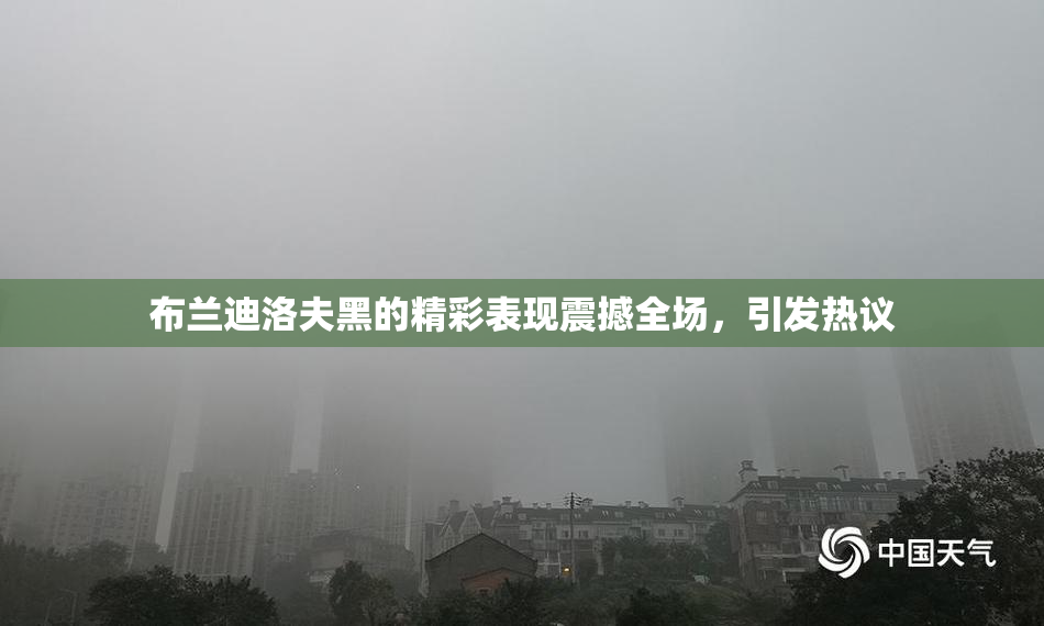 布兰迪洛夫黑的精彩表现震撼全场，引发热议