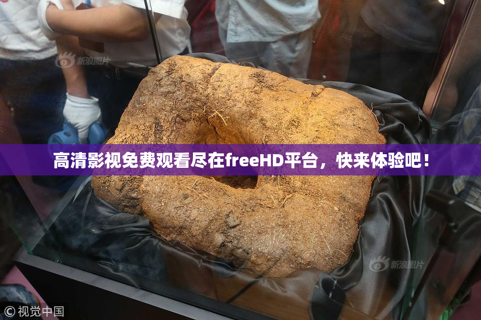 高清影视免费观看尽在freeHD平台，快来体验吧！