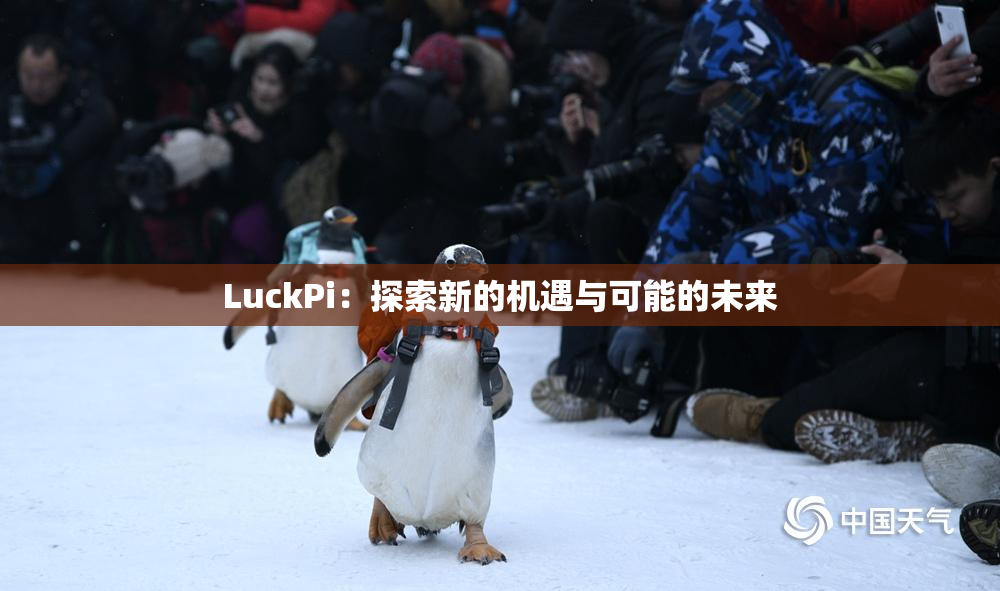LuckPi：探索新的机遇与可能的未来