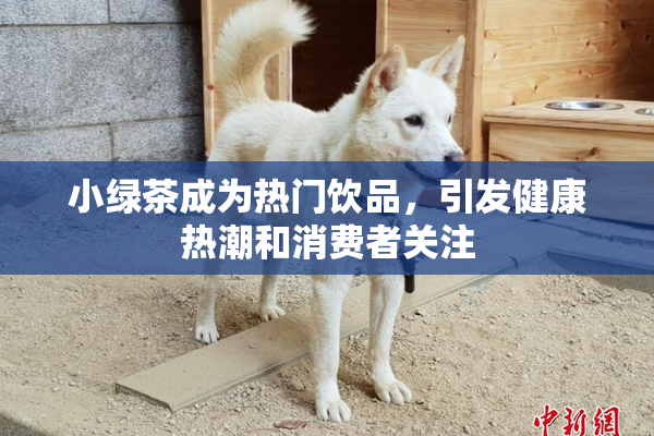 小绿茶成为热门饮品，引发健康热潮和消费者关注