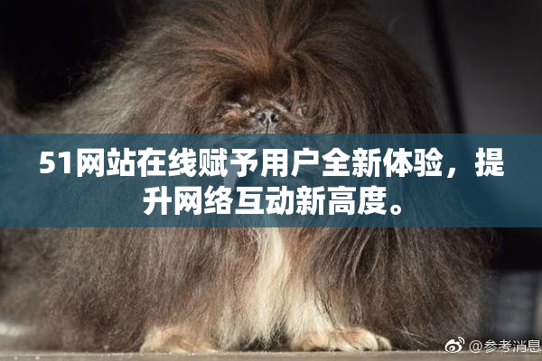 51网站在线赋予用户全新体验，提升网络互动新高度。