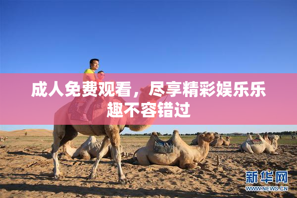 成人免费观看，尽享精彩娱乐乐趣不容错过