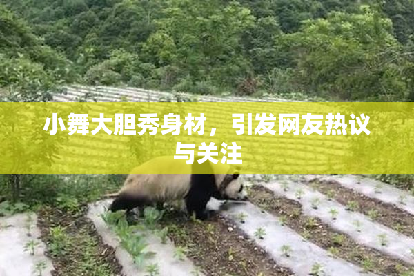 小舞大胆秀身材，引发网友热议与关注