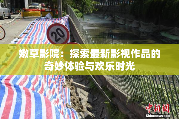 嫩草影院：探索最新影视作品的奇妙体验与欢乐时光