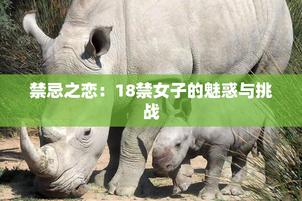 禁忌之恋：18禁女子的魅惑与挑战