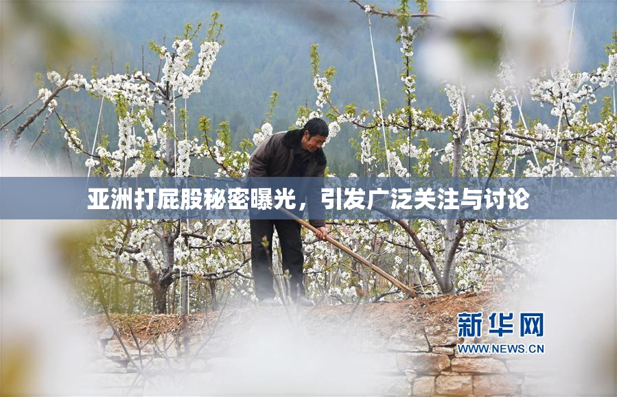 亚洲打屁股秘密曝光，引发广泛关注与讨论