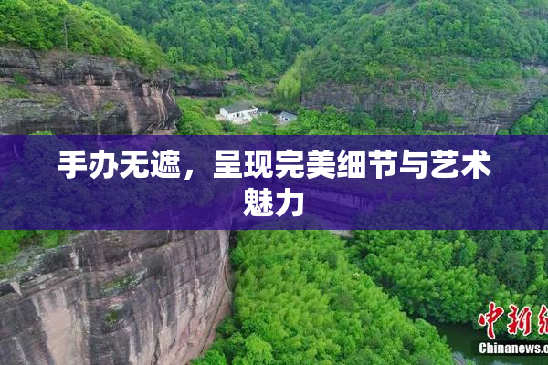 手办无遮，呈现完美细节与艺术魅力