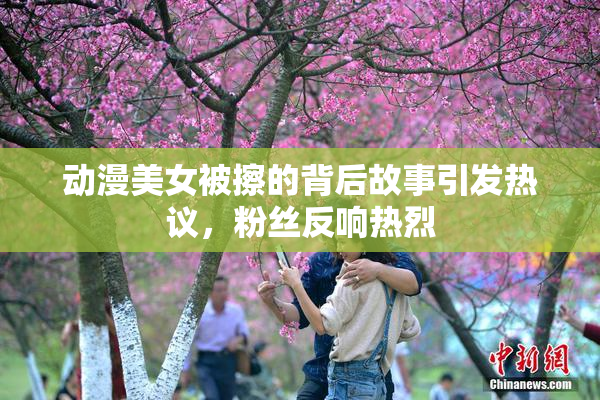 动漫美女被擦的背后故事引发热议，粉丝反响热烈