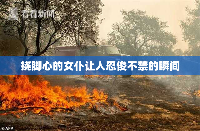 挠脚心的女仆让人忍俊不禁的瞬间