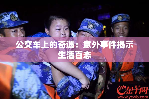公交车上的奇遇：意外事件揭示生活百态