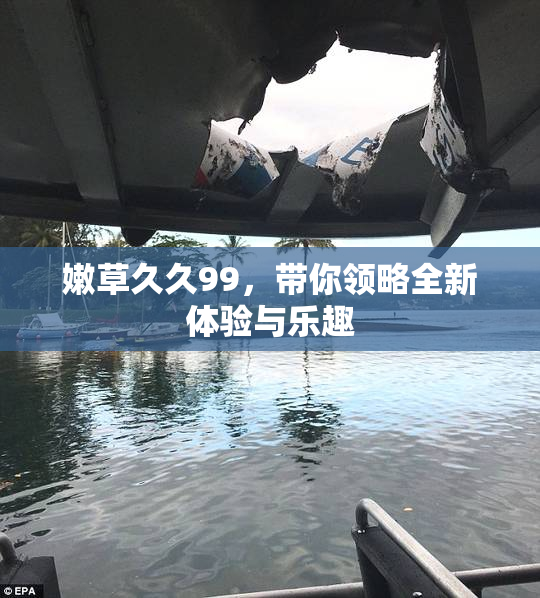 嫩草久久99，带你领略全新体验与乐趣
