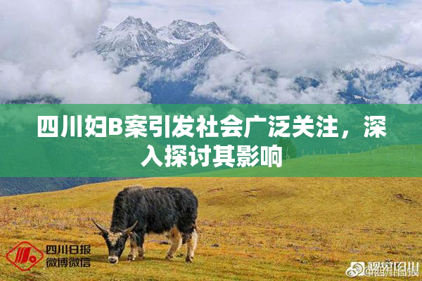 四川妇B案引发社会广泛关注，深入探讨其影响