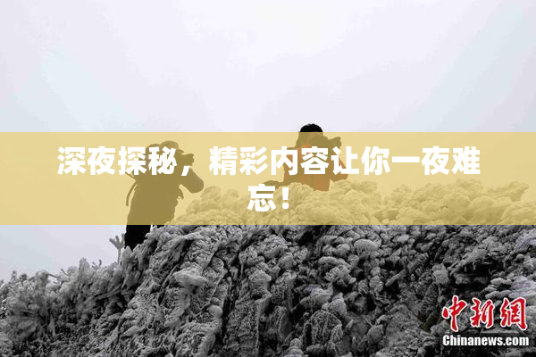 深夜探秘，精彩内容让你一夜难忘！