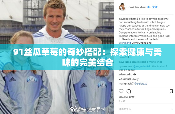 91丝瓜草莓的奇妙搭配：探索健康与美味的完美结合