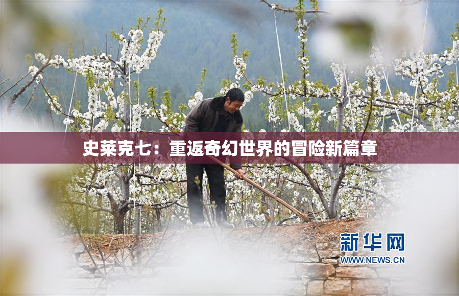 史莱克七：重返奇幻世界的冒险新篇章