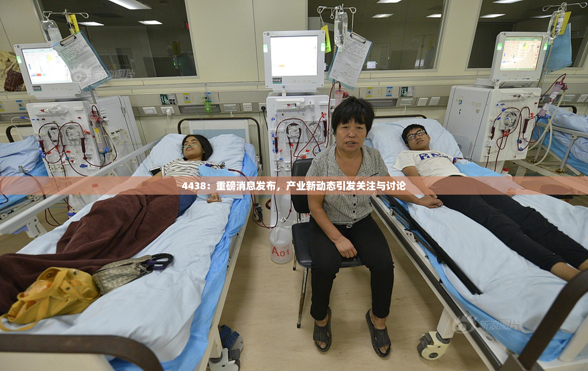 4438：重磅消息发布，产业新动态引发关注与讨论