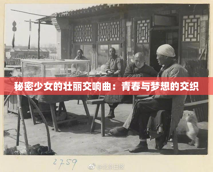 秘密少女的壮丽交响曲：青春与梦想的交织