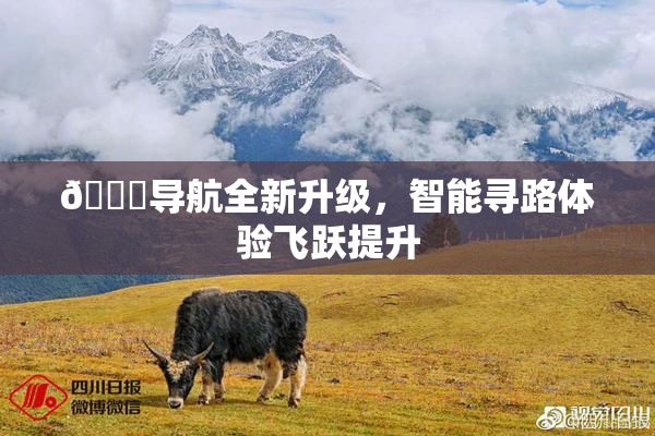 🍓导航全新升级，智能寻路体验飞跃提升