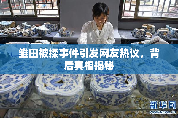 雏田被揉事件引发网友热议，背后真相揭秘