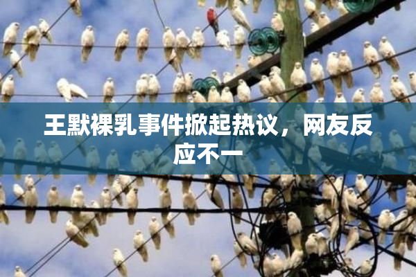 王默裸乳事件掀起热议，网友反应不一