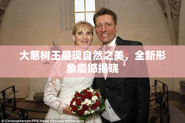 大慈树王展现自然之美，全新形象震撼揭晓