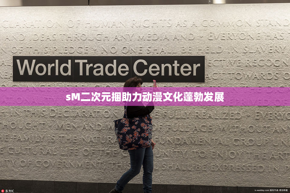 sM二次元捆助力动漫文化蓬勃发展