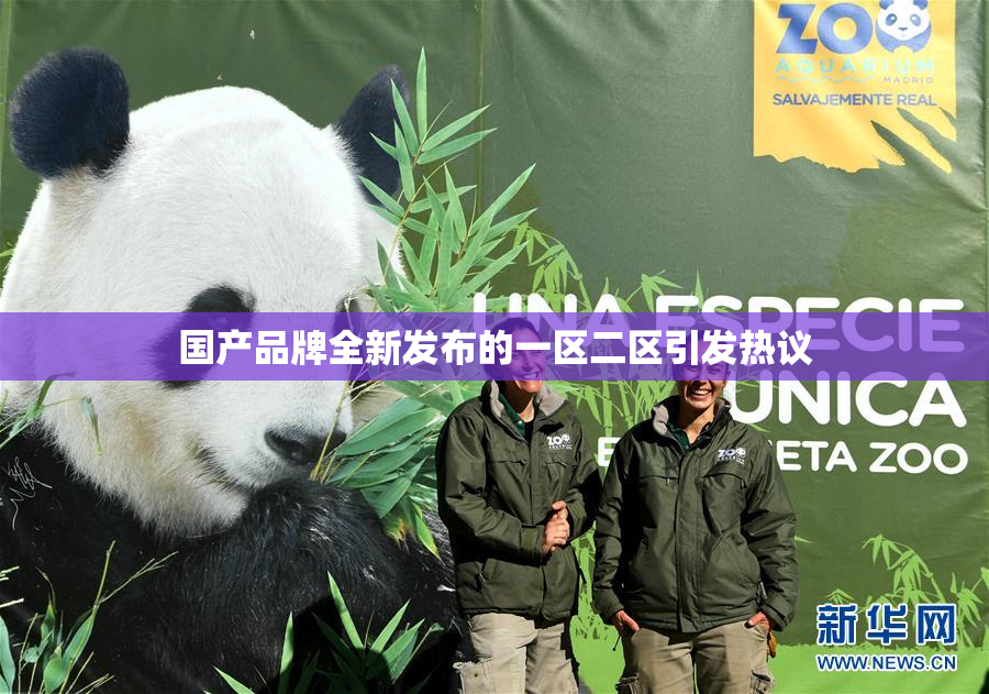 国产品牌全新发布的一区二区引发热议