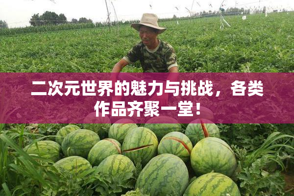 二次元世界的魅力与挑战，各类作品齐聚一堂！