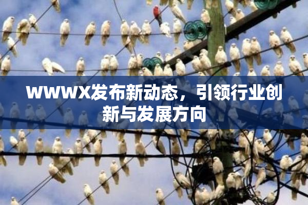 WWWX发布新动态，引领行业创新与发展方向