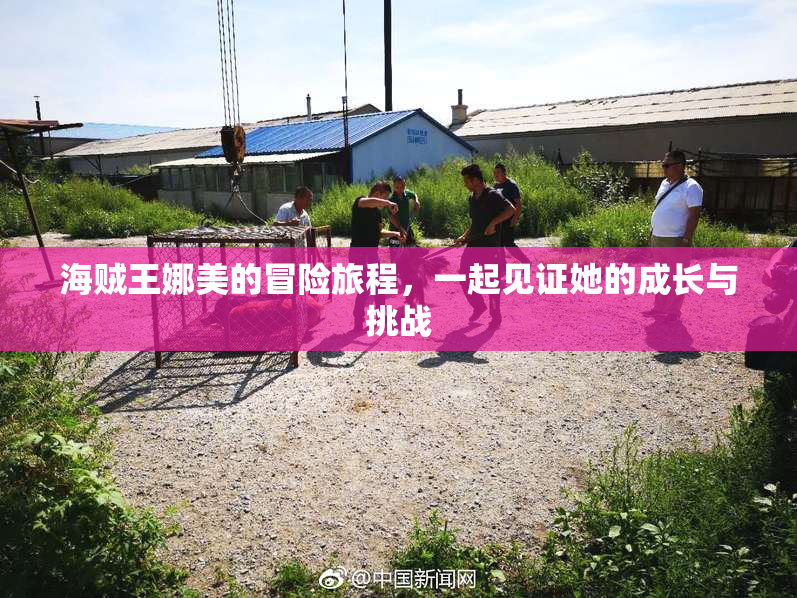 海贼王娜美的冒险旅程，一起见证她的成长与挑战