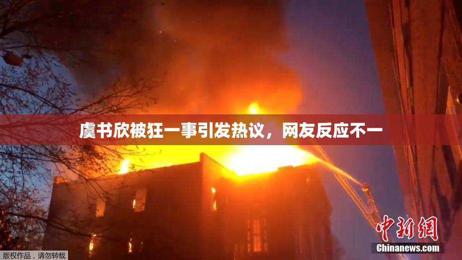 虞书欣被狂一事引发热议，网友反应不一