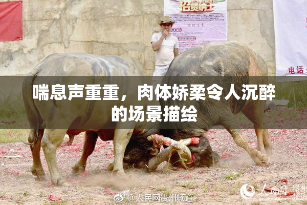 喘息声重重，肉体娇柔令人沉醉的场景描绘